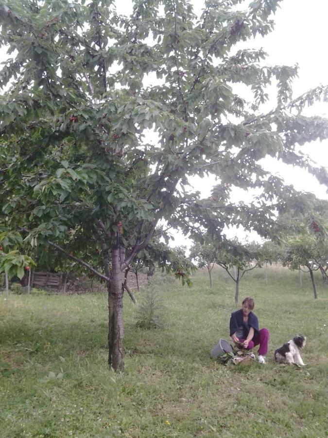 Agriturismo Persichitti Torricella Peligna Екстериор снимка